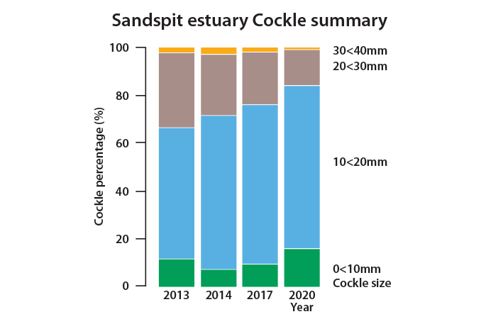 Shellfish monitoring shines light on catchment health - Local Matters