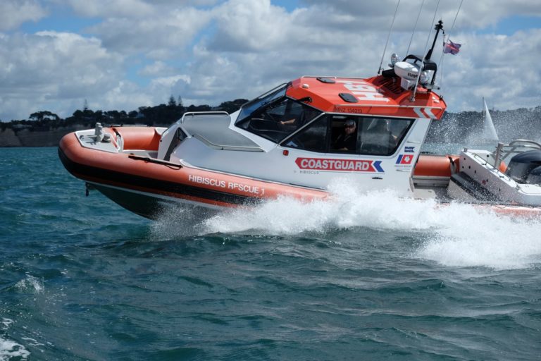 Hibiscus Coastguard 2 768x512