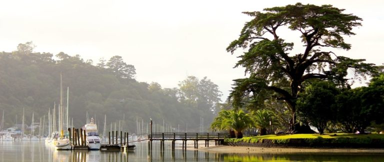 StillwaterCommunityAssociation 1 768x324