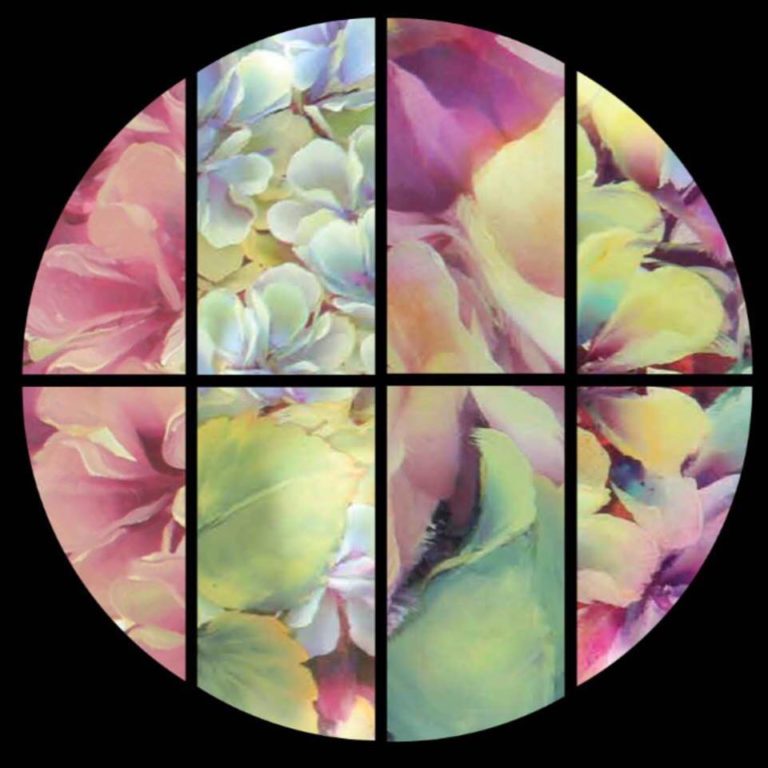 northrodneyartscouncil 768x768