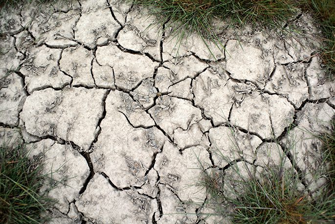 Dry year for Warkworth and surrounding areas - Local Matters