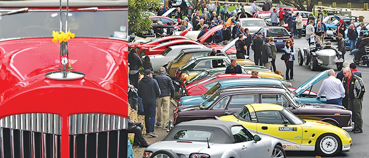 Vintage cars Matakanabound Local Matters