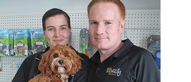 NB Pets vert 768x330