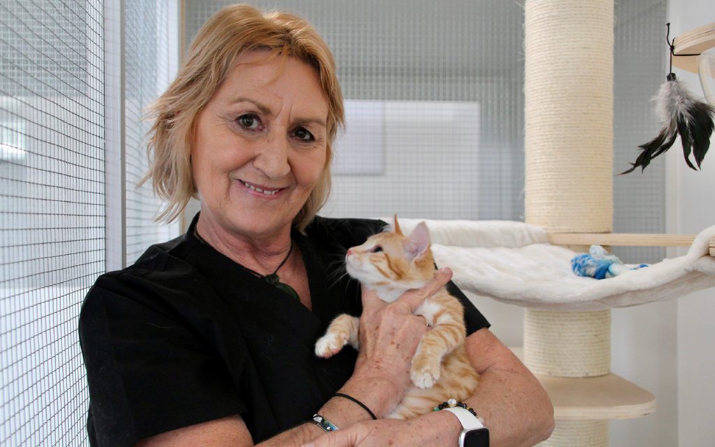 NB Precious Paws 1 1024x640