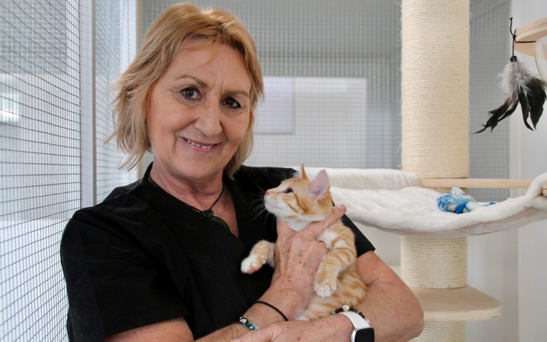 NB Precious Paws 1 768x480