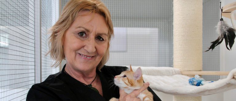 NB Precious PawsBD 768x330