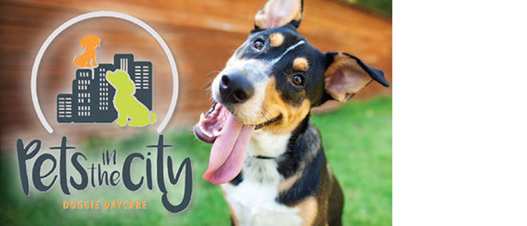 PetsInTheCity BX 291 768x330