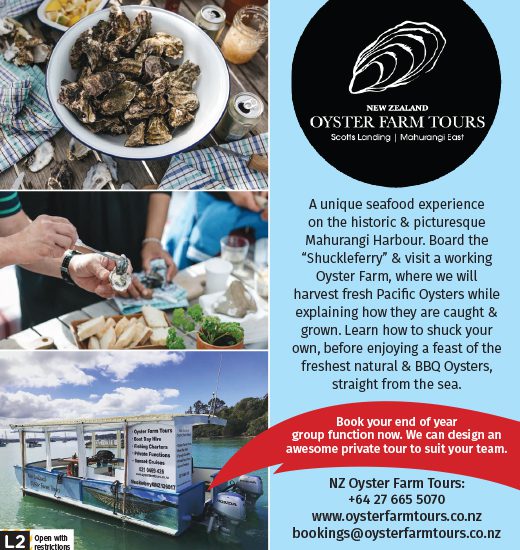 oyster farm tour auckland