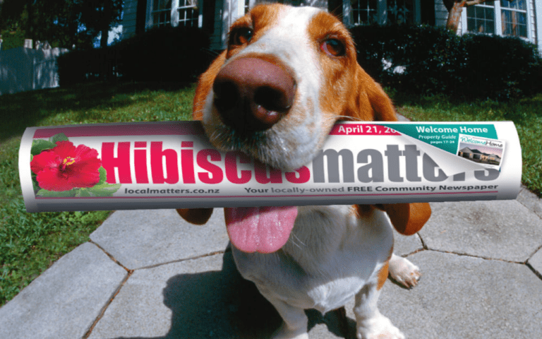 Hibiscus delivery walkers 768x480