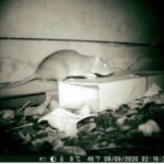 117175759 10158200099050932 5533378792119364434 n 1 150x150