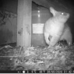 117288213 10158200097355932 1748827573657962434 n 150x150