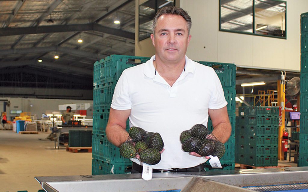 New avocado venture smashing it Local Matters
