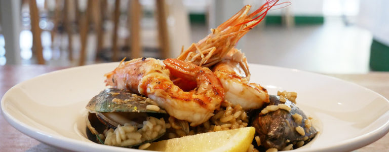 273375381 113235107937653 8558409683440806251 n 768x300