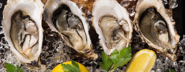 oysters feature BD 768x300