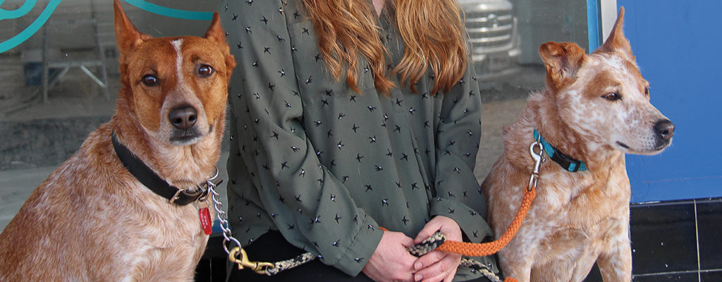 NB Pet Naturals 22 BD2 1024x400