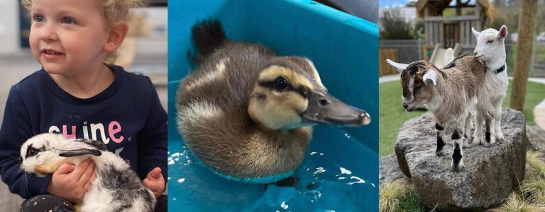 285472374 139315538694198 7467169851015863202 n 768x300