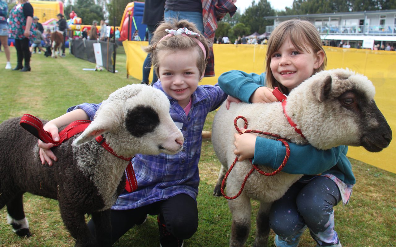 Schools back in the saddle with gala fun and games Local Matters