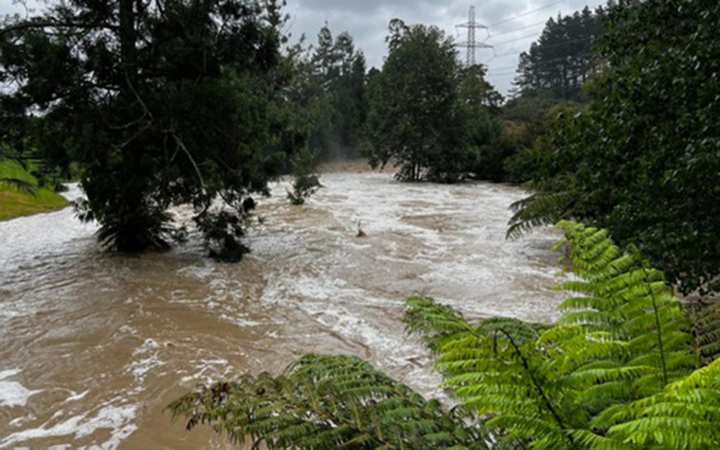 Flash flooding overwhelms Dairy Flat residents Local Matters