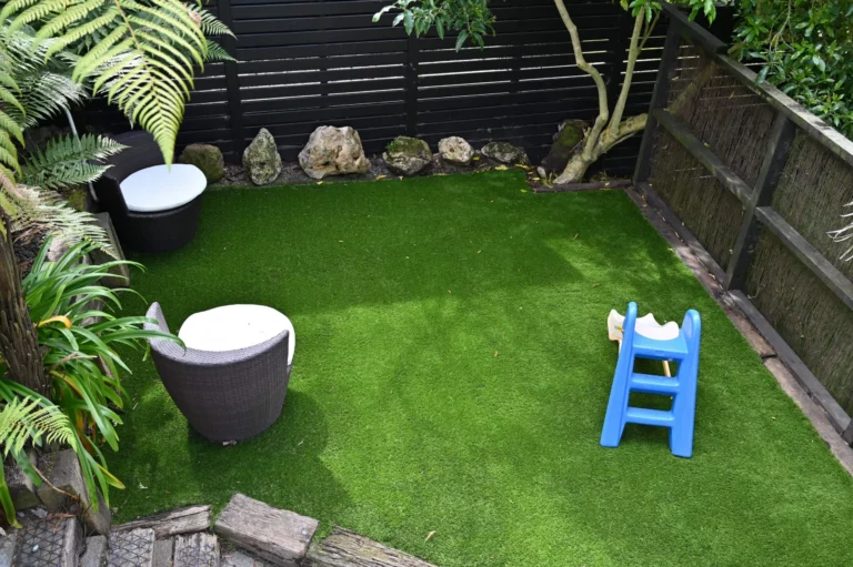 DSC 0012 3 scaled 1 768x511