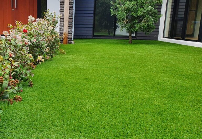 IMG 20200722 WA0001 e1598519463719 768x530