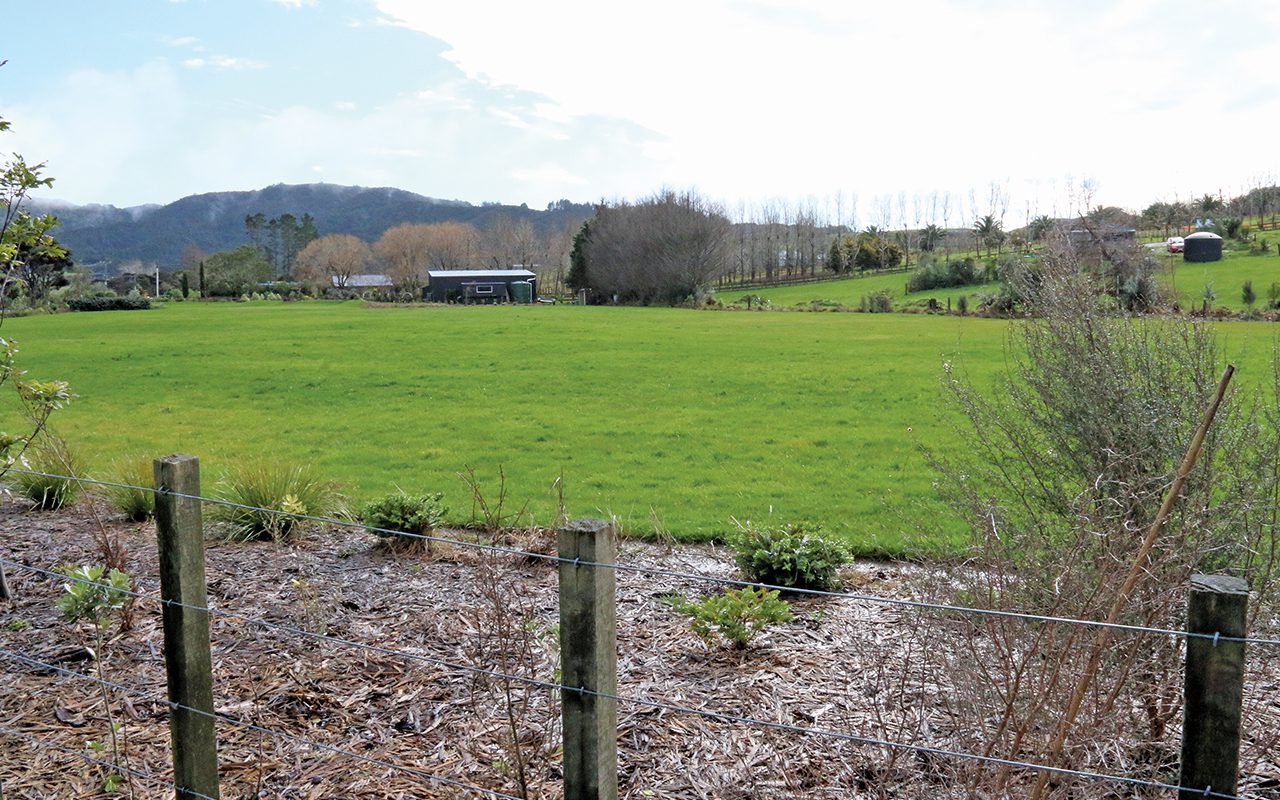 Mangawhai Heads plan change application given “vet check” Local Matters