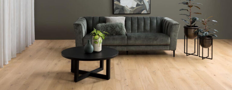 367989477 849137863504248 3593416084075195561 n 768x300