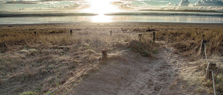 Orewa Beach 2 768x328