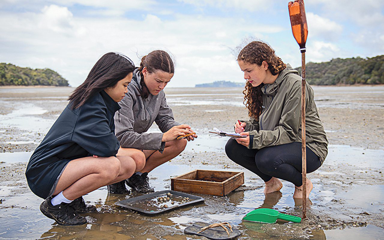 Youth do the mahi on shellfish monitoring - Local Matters
