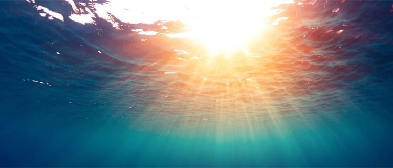 Screen Shot 2024 02 14 at 11.21.06 AM 768x328