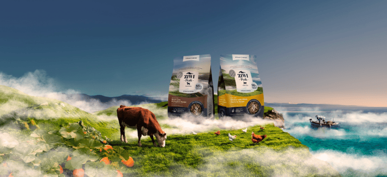 Screenshot 2024 03 14 at 4.41.54 PM 2 768x351