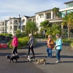 b61a813d9fc2b9e620506ac07652e3c2da7c0daf 900x1000 1 150x150