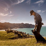 hompage sustainable farmer mobile 1 150x150