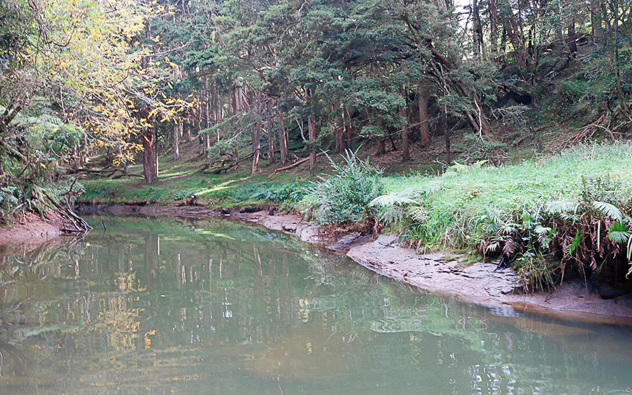 Working with Matakana waterways - Local Matters