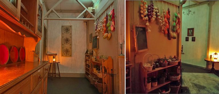 gnomes adventure 768x330