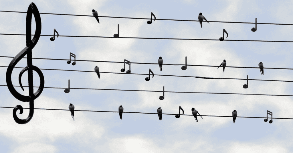 Screen Shot 2025 02 11 at 10.06.56 AM 1024x534