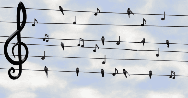 Screen Shot 2025 02 11 at 10.06.56 AM 768x400