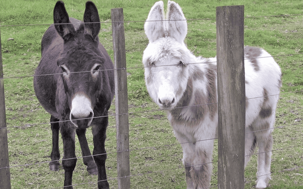 Screen Shot 2025 08 06 at 1.32.04 PM 1024x639