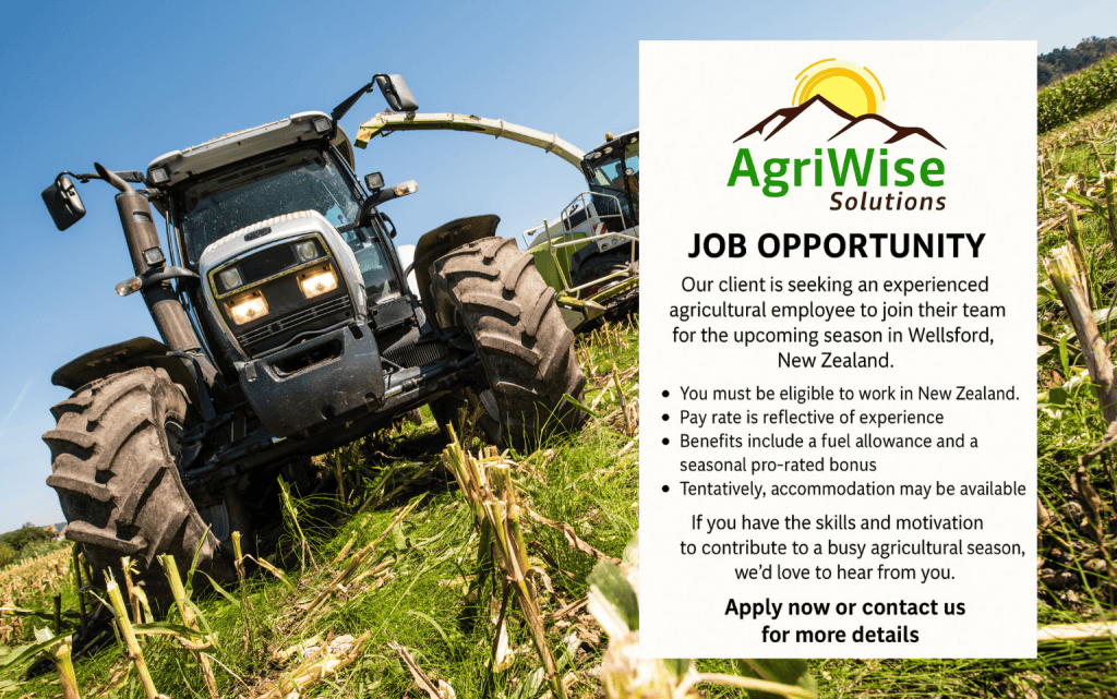 Whats On Dimensions 1536 x 962 px 2 copy 7 1 1024x641