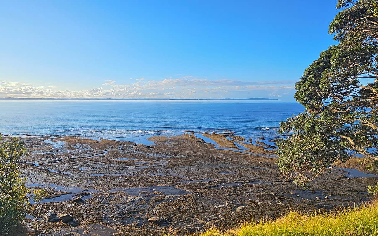 Rockpool ban moves closer as consultation ends