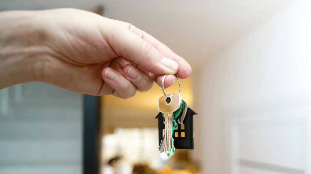 Whats On Dimensions 1280 x 720 px 1 1024x576