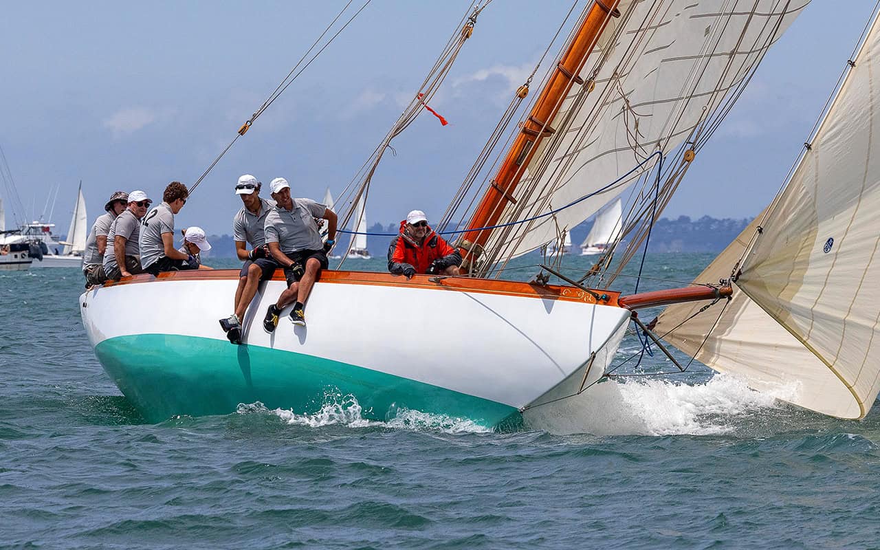 Classic craft line - up for regatta - Local Matters