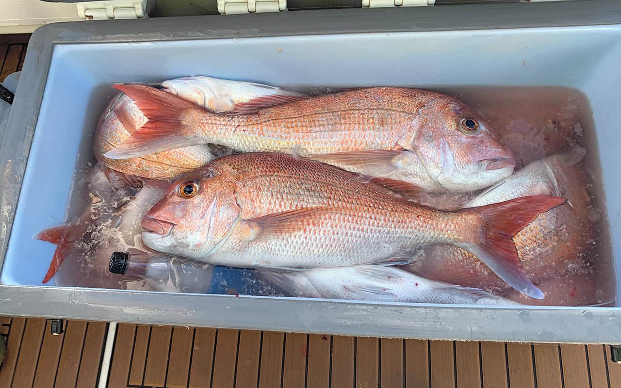 Fishing - Negotiating holiday angling - Local Matters