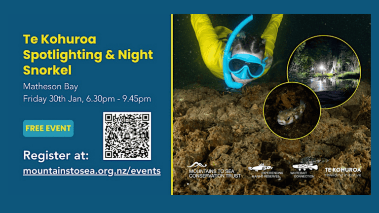 Whats On Dimensions 1280 x 720 px 1 copy 1 768x432