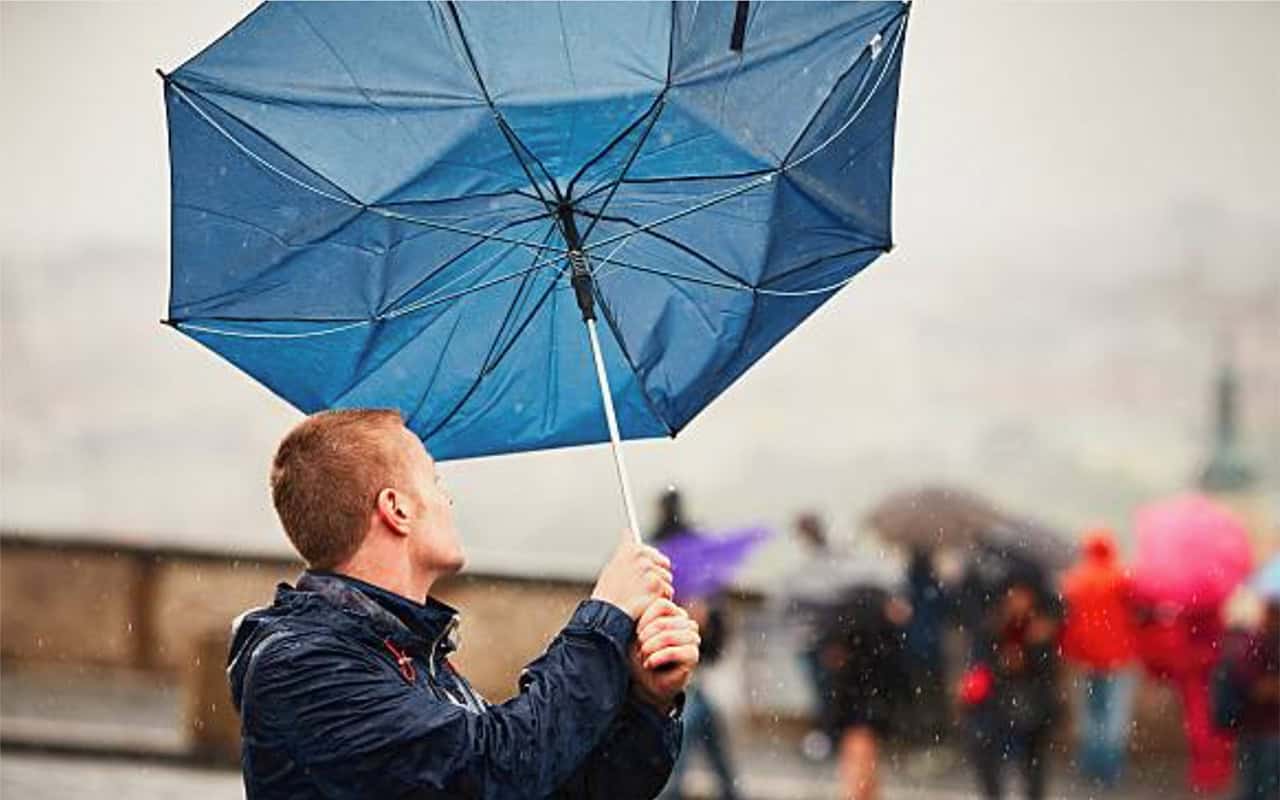 Viewpoint – Winds of change - Local Matters