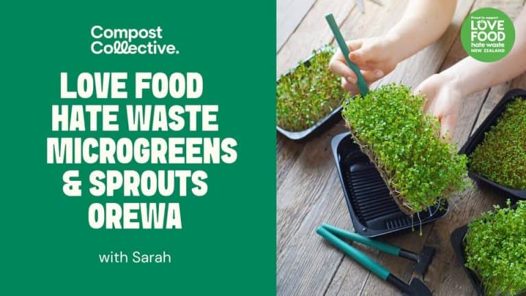 616809111 1278963630932318 7961467975108862262 n 768x432