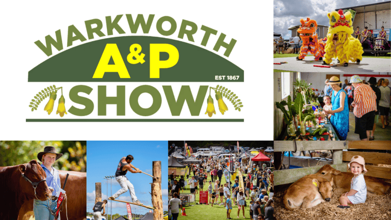 Whats On Dimensions 1280 x 720 px 12 copy 1 768x432