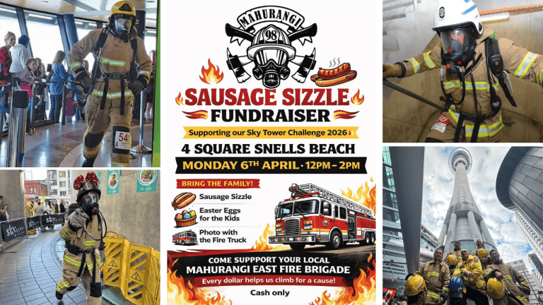 Whats On Dimensions 1280 x 720 px 15 768x432