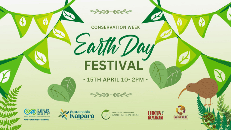 Whats On Dimensions 1280 x 720 px 15 copy 3 768x432