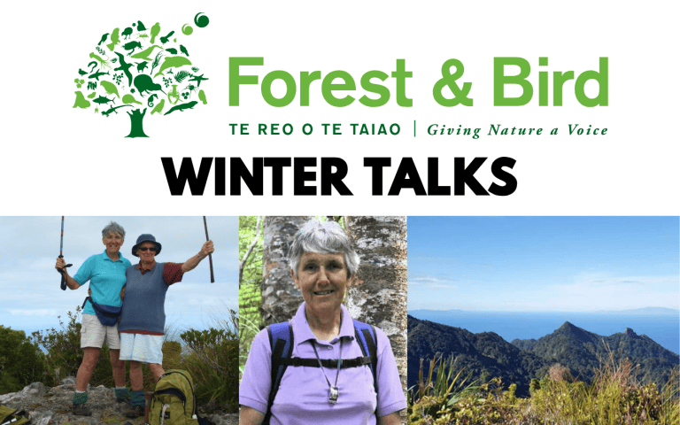 Whats On April 1414 x 884 px 2026 copy 3 768x480