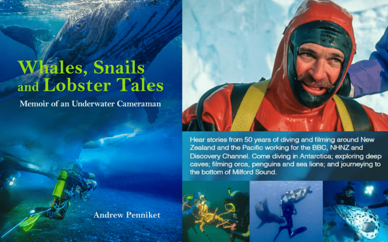 Whats On April 1414 x 884 px 2026 copy 6 768x480